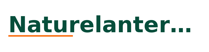 Naturelanternm logo